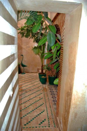 Riad DANA